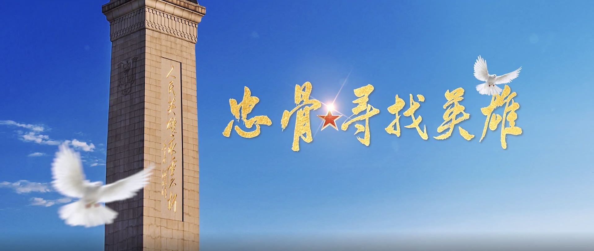 忠骨·寻找英雄